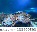 Underwater world 133400593