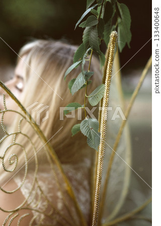 close up of fairy costume, fairy wings. fairy wings of golden color 133400648
