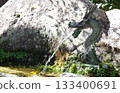 dragon spewing water dragon spewing water 133400691