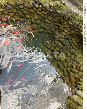 Colorful fish 133400742