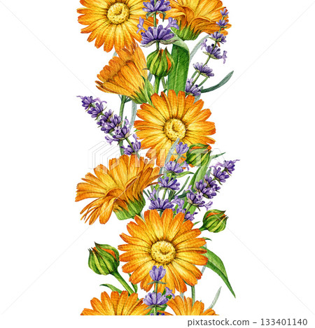 Lavender and calendula flowers seamless border decor element watercolor illustration. Hand drawn fresh calendula flowers with lavender stems floral decoration element isolated on white background Lavender and calendula flowers seamless border decor element watercolor illustration. Hand drawn fresh calendula flowers with lavender stems floral decoration element isolated on white background 133401140