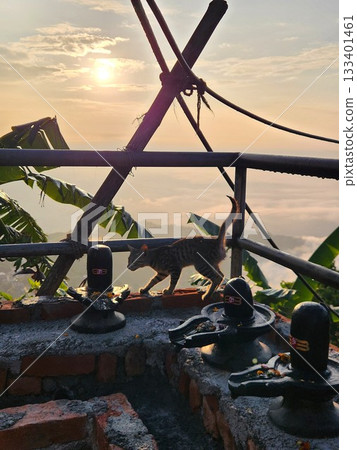 Sarangkot shrine and cat floating in the morning sun, Nepal 133401461