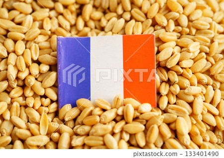 France flag on grain wheat, trade export and economy concept. 133401490