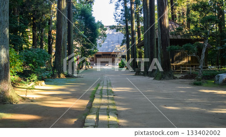 Iitaka Danrin Forest, lined with giant cedar trees, morning approach to Iitaka Temple, Chiba Prefecture 133402002