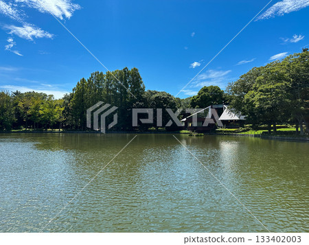 A park with a pond 133402003