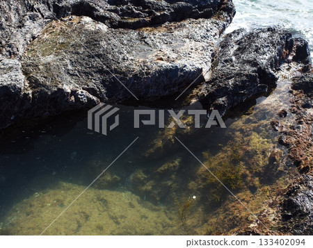 在志摩半島最南端的麥崎海岸，小魚在潮池中游弋。 133402094