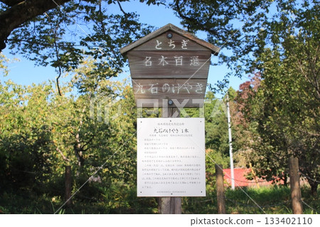 庫庫庫·澤爾科娃 133402110