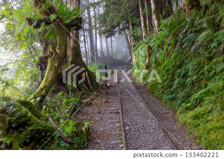 霧氣瀰漫的宜蘭見晴古道與延伸的荒廢鐵軌 133402221