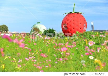 [Nagasaki Prefecture] Strawberry and Melon Fruit Bus Stop (Izaki) 133402293