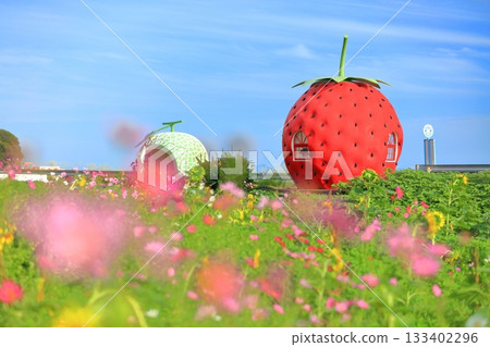 [長崎縣]草莓和哈密瓜水果巴士站（伊崎） 133402296