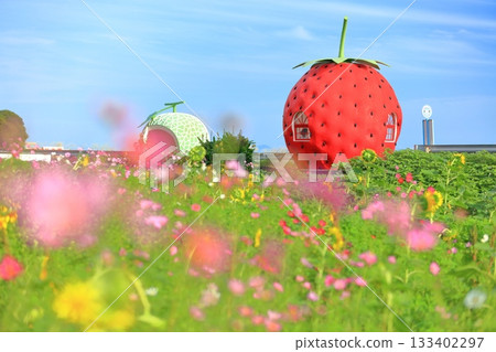 [長崎縣]草莓和哈密瓜水果巴士站（伊崎） 133402297