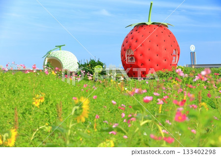 [Nagasaki Prefecture] Strawberry and Melon Fruit Bus Stop (Izaki) 133402298