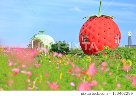 [長崎縣]草莓和哈密瓜水果巴士站（伊崎） 133402299