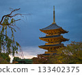 京都東寺清晨的燈光照亮了東寺 133402375
