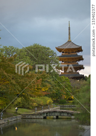京都東寺清晨的燈光照亮了東寺 京都東寺清晨的燈光照亮了東寺 133402377
