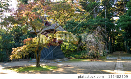 千葉縣飯高寺飯高壇林遺址中色彩斑斕的楓樹和鼓樓 133402509