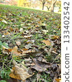 秋日風景：落葉滿地 133402542