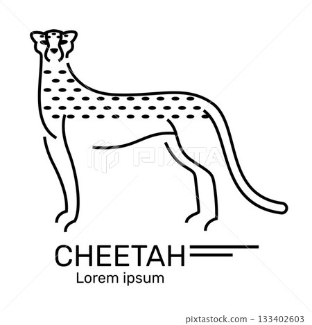 Vector illustration of a cheetah standing in a graceful pose, symbolizing power, confidence and calmness, perfect for logo designs, brands, wildlife and elegance concepts. Cheetah standing with a grac 133402603