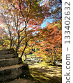 秋日美景，落葉繽紛。 133402632