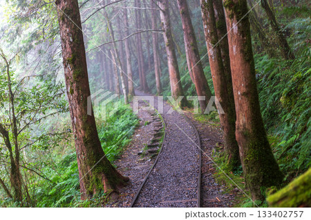 The misty Jianqing Ancient Trail in Yilan and the extended abandoned railway tracks The misty Jianqing Ancient Trail in Yilan and the extended abandoned railway tracks 133402757