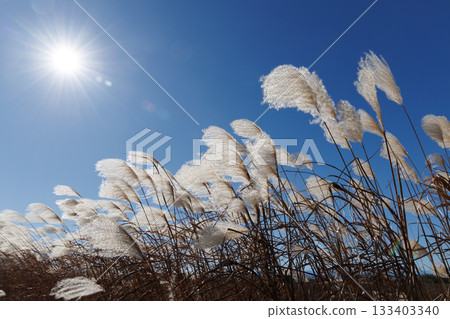 Susuki在藍天閃耀 133403340