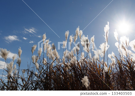 Susuki在藍天閃耀 133403503