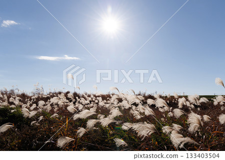 Susuki在藍天閃耀 133403504