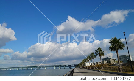 Kansai Airport Sky Gate Bridge and palm trees 133403757