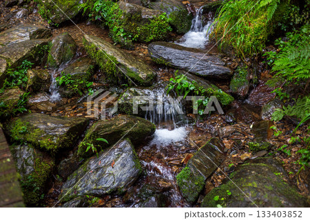 宜蘭森林中流經佈滿青苔岩石的清澈山澗 宜蘭森林中流經佈滿青苔岩石的清澈山澗 133403852