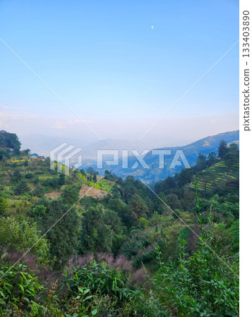 Moonlit morning mountain scenery and green rice terraces in Nagarkot, Nepal 133403890
