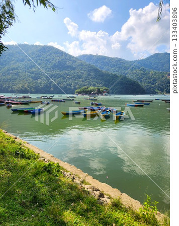 Colorful boats and green mountains on Phewa Lake in Pokhara, Nepal 133403896