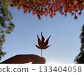Hand holding autumn leaves 133404058