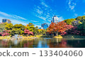 Autumn foliage at Koishikawa Korakuen Garden (Bunkyo Ward, Tokyo) 133404060