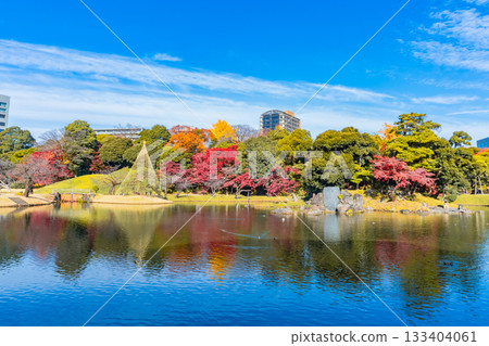 Autumn foliage at Koishikawa Korakuen Garden (Bunkyo Ward, Tokyo) 133404061
