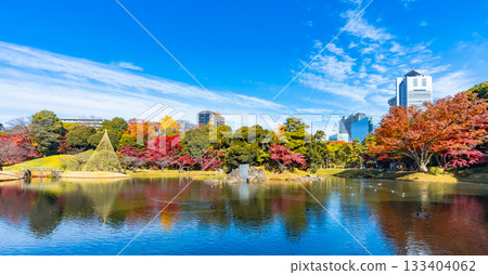 Autumn foliage at Koishikawa Korakuen Garden (Bunkyo Ward, Tokyo) Autumn foliage at Koishikawa Korakuen Garden (Bunkyo Ward, Tokyo) 133404062