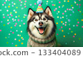 Cute dog with party hat on celebration background. 133404089