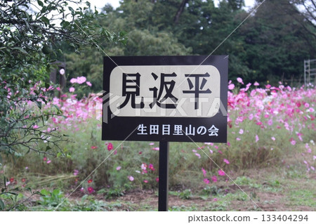 生田目步行道 生田目步行道 133404294