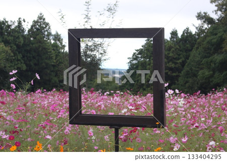 生田目步行道 生田目步行道 133404295