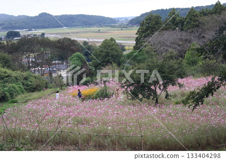 生田目步行道 133404298