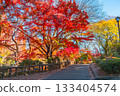 Autumn foliage at Inokashira Park (Musashino City and Mitaka City, Tokyo) 133404574