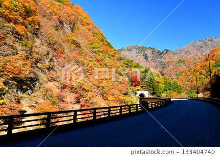 View of the Aogai Tunnel area (Hayakawa Town, Yamanashi Prefecture) [November 2025] 133404740