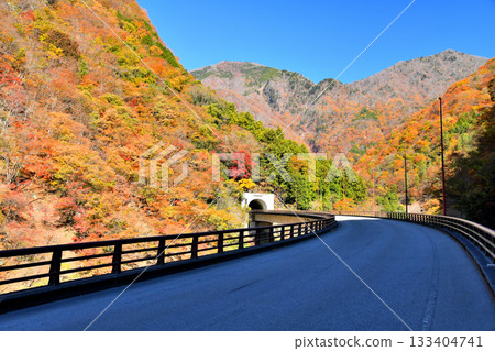 View of the Aogai Tunnel area (Hayakawa Town, Yamanashi Prefecture) [November 2025] 133404741