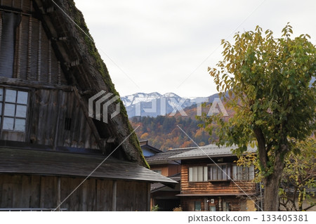 Autumn foliage in Shirakawa-go Gassho-style village (Shirakawa Village, Gifu Prefecture) 133405381