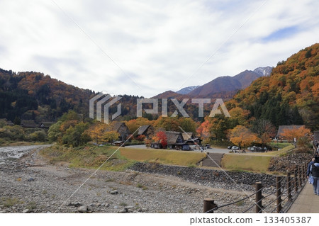 Autumn foliage in Shirakawa-go Gassho-style village (Shirakawa Village, Gifu Prefecture) 133405387