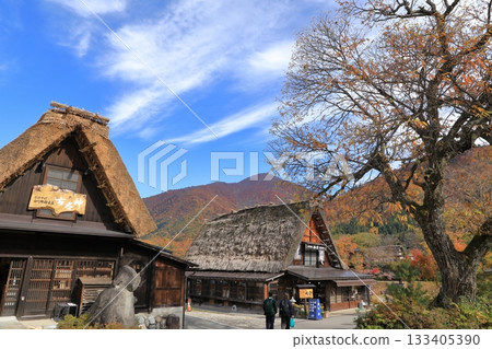 白川鄉合掌造風格村落的秋葉（岐阜縣白川村） 133405390