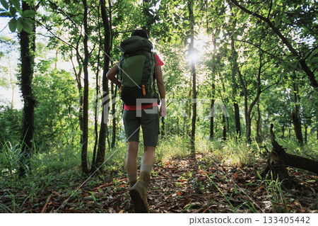 wWoman hiker hiking on forest trail 133405442