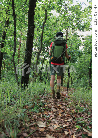 Woman hiker hiking on forest trail 133405447