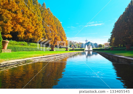 相模原公園噴泉廣場:成排的水杉樹開始泛黃 相模原公園噴泉廣場:成排的水杉樹開始泛黃 133405545