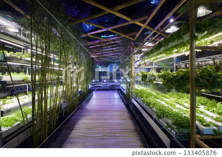 Indoor Vertical Farm with Bamboo Structure and Greenery Indoor Vertical Farm with Bamboo Structure and Greenery 133405876