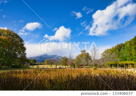美麗的秋葉和日光山脈的景色 美麗的秋葉和日光山脈的景色 133406037